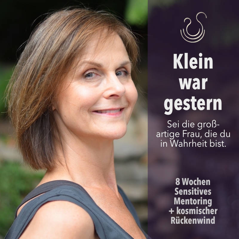 Programme & Angebote: Klein war gestern